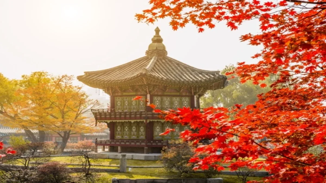 Persiapan Penting untuk Liburan dan Wisata di Korea