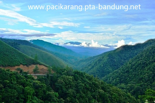 Wisata Alam Bukit