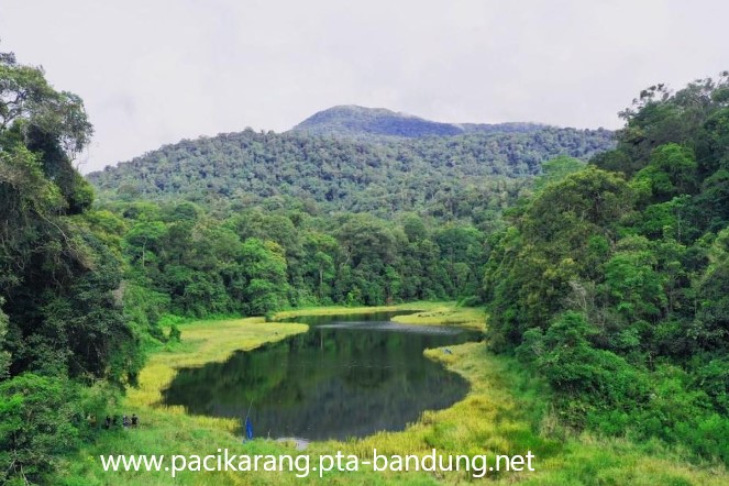 Perjalanan Alam di Kawasan Lembah Sungai Mississippi