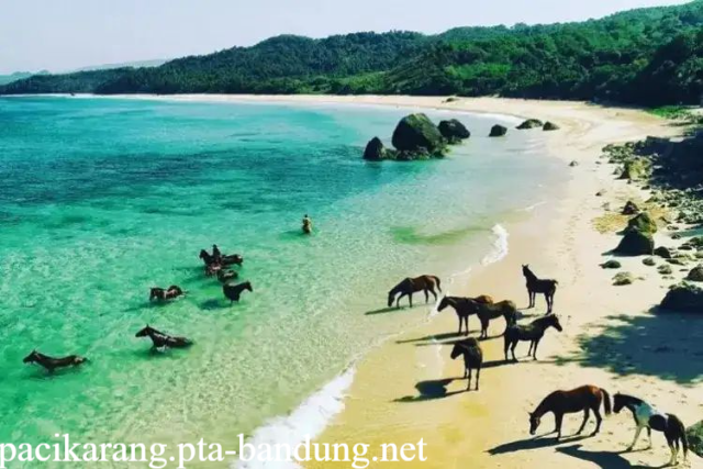 Pantai Nihiwatu Beach Sumba: Surga Pantai Eksotis di NTT